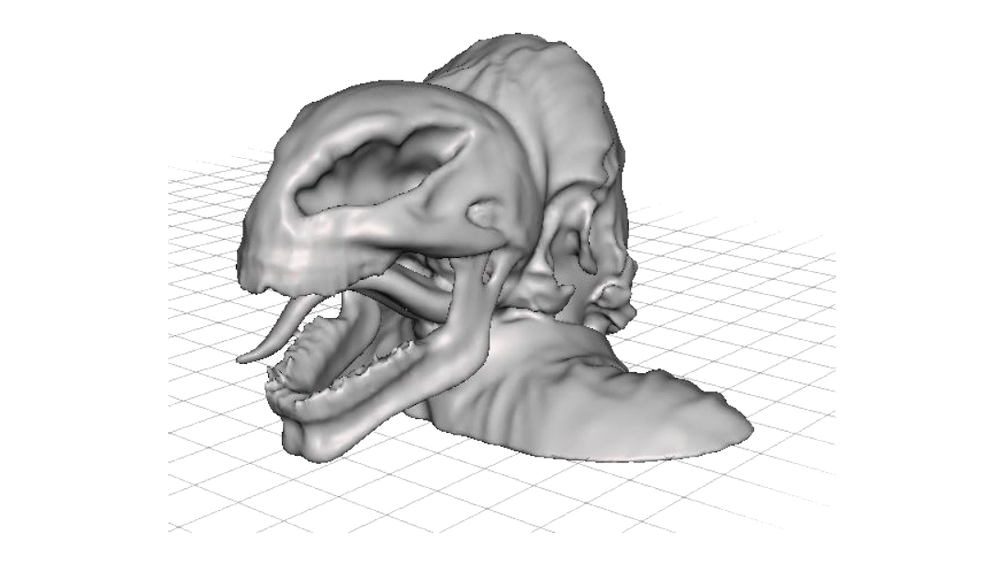 Creature mesh study alternate